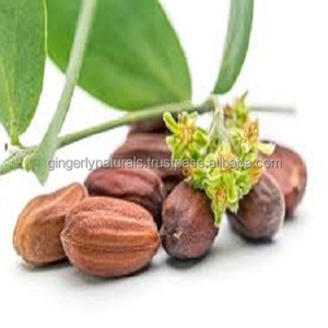 Pure Jojoba Oil From India for <b>Moisturizing</b> <b>Gloves</b> - Product Image 2