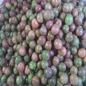 Jus de FRUIT de la PASSION fraîche du VIETNAM - Product Image 6