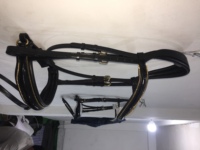 Bridon de dressage en cuir de qualité supérieure avec cristaux dorés sur la frontalier et le nez, équipement équestre élégant