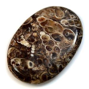 Tự nhiên turritella lỏng đá quý kết hợp kích thước hình dạng Cabochon đối với trang sức làm - Product Image 3
