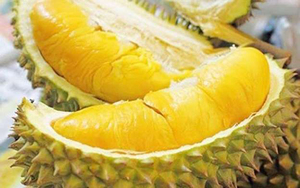 Polvo de Durian de Vietnam al por Mayor, Polvo de Fruta de Durian Instantáneo, OFERTA - Product Image 4