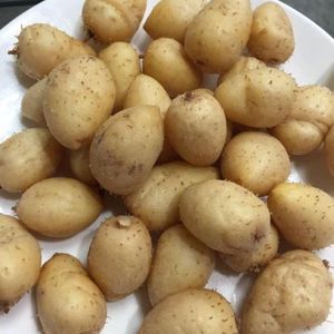 TOPI TAMBO / CALATHEA ALLOUIA - Castaña de Agua Vietnamita Especial - Product Image 2