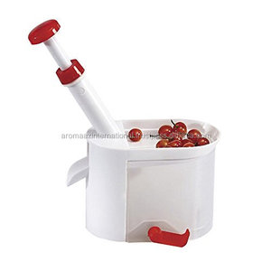 น้ำมันเมล็ดเชอร์รี่สกัดเย็นแบบออร์แกนิกน้ำมันขนส่งแบบกำหนดเอง - Product Image 1