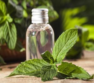 Bulk Peppermint Oil for Industrial <b>Flavor</b> Use for Sale - Product Image 2
