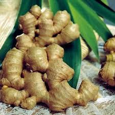 Wholesale Organic <b>Fresh</b> <b>Ginger</b> Price in Vietnam in 2020 - Product Image 3