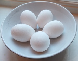 Fresh Indian Chicken Table Eggs - Product Image 1