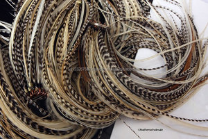 Grizzly luz Natural de accesorios para el cabello hágalo usted mismo Kit Real Extensiones De Plumas Grizzly - Product Image 4