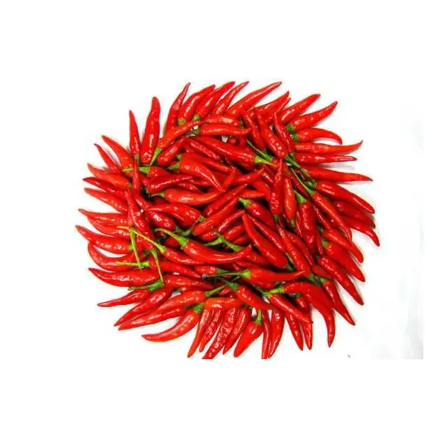 FROZEN RED CHILLI FROM VIETNAM / RED AND GREEN CHILLI NATURAL/Whatsapp + 84 845 639 639