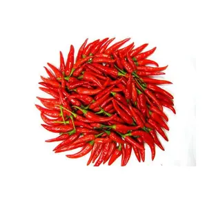 Piment rouge congelé du Vietnam/Piment rouge et vert naturel - Product Image 1