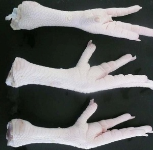 Pieds/Avant-branches de poulet surgelés de qualité supérieure à prix abordable, riches en vitamines, coupés et emballés sous vide, conformes aux normes internationales - Product Image 1