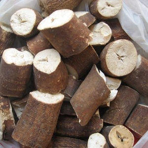 Almidón de Tapioca de Vietnam, alta calidad - Product Image 2