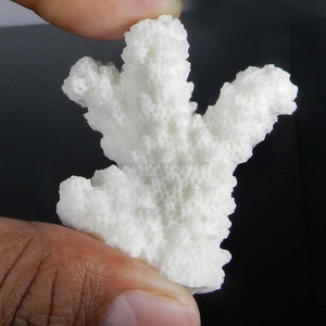 Racimo de coral blanco natural 49x49mm Fancy 106,80 Cts Joyas de piedras preciosas sueltas - Product Image 3