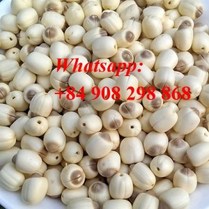 Semillas de loto de alta calidad - Product Image 2