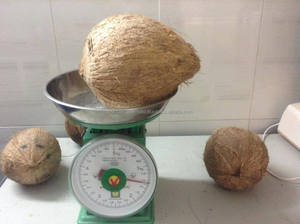 Dehused Coconu/ Vietnam <b>Coconut</b> - Product Image 2