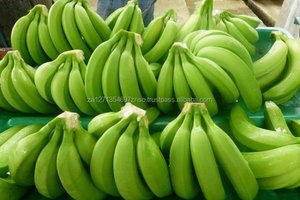 Bananas Cavendish Verdes Premium de la MEJOR CALIDAD, 1 kg, Listas para Comer - Product Image 2