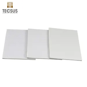 2x2 vinyl bedekt gipsplaat valse plafond tegels