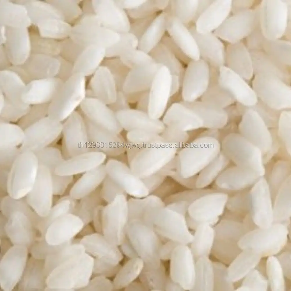 GUTER Langkorn IRRI-6 100% gebrochener seidiger-Sortex weißer Reis