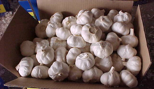 Fresh Top Grade White Garlic <b>Cloves</b> 1kg Available - Product Image 2