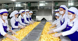 Produits FD Durian séché en 2024 - Product Image 5
