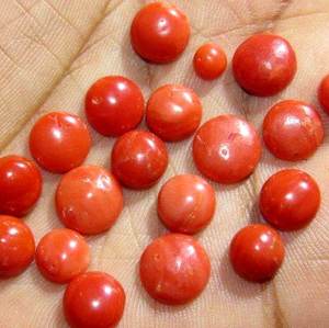 Corail Italien Forme Ronde Corail Lisse Cabochon de Pierres Précieuses Fabrication de Bijoux Qualité Naturelle Incroyable - Product Image 4