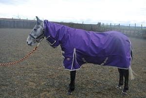 200gram di alta qualità Foderato/1200 Denier Inverno Affluenza Tappeto Cavallo - Product Image 5