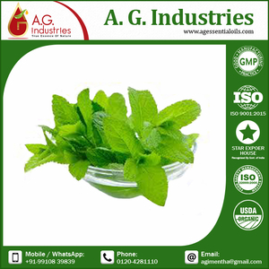 Aceite de Menta Desmentolizado 100% Puro y Natural, Certificado GMP, Suministro a Granel, Cuidado de la Piel, Líquido Capilar, Aceite de Fragancia de Mentol con Gotero - Product Image 3