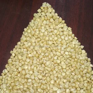 White Maize for animal feed