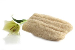 Calabaza Luffa Svamp/Odla Luffa/Luffa Gourd - Product Image 3