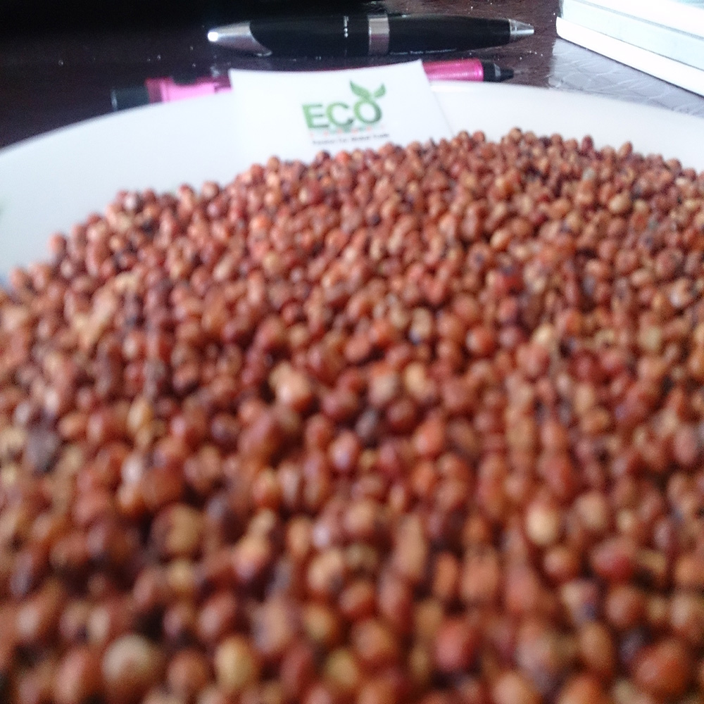 Новый Урожай Красного сорго по низкой цене