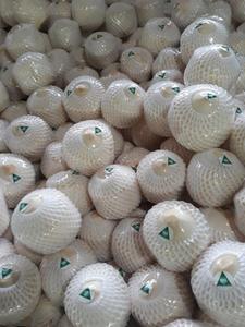 มะพร้าวสดที่มีรูปทรงการตัดเพชร-7 $ ต่อกล่องจากเวียดนาม-MS: Holiday - Product Image 3