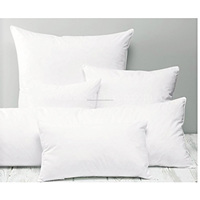 Vente en gros Hôtel Tissu doux Insert de coussin Coussins décoratifs faits à la main Coussin de remplissage coton de fournisseur indien