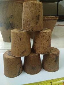 VENTA SUPERIOR DE BOTAS DE COIR DE FIBRA DE COCO - Product Image 2