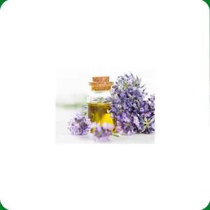 Bulk Supplier Organic Pure Lavender Essential Oil works to stimulate the immune system Affordable Price