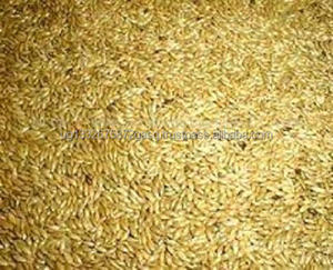 Graine et mélange de graines pour canaris de haute qualité de haute qualité à vendre Fournitures pour oiseaux de qualité supérieure - Product Image 1