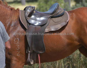 AUSTRALIEN STOCK SELLE - Product Image 6