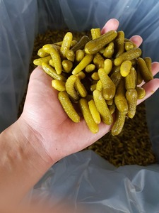 GHERKIN en ÁCIDO ACÉTICO 180 KGS en BIDÓN DE 260 LITROS - Product Image 4