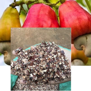 เศษกะลามะม่วง/เปลือกมะม่วง เหมาะสำหรับการอนุรักษ์สิ่งแวดล้อม - Product Image 1