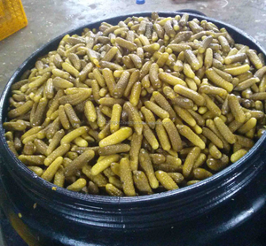 Cornichons de haute qualité du Vietnam Concombres marinés conservés au sel dans des tambours en vrac Meilleur prix Tailles 4-7cm et 7-10cm - Product Image 3