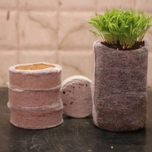 Discos de Fibra de Coco, Pastillas de Coco, para Germinación de Semillas sin Tierra, para Jardinería Doméstica, Viveros, Invernaderos, Agricultura - Product Image 4