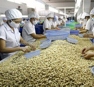 Kak — accessoires en noix de coco, secs à haute qualité, WW320, WW240, meilleure vente fabriqué au Vietnam, 0084339966582 - Product Image 5