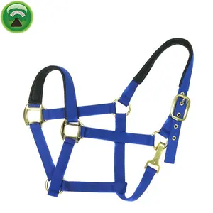 Custom Pp En Nylon Paard Hoofdstel Paard Halsters \ Paard Racing Accessoires