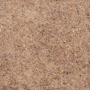 Fibre de coco naturelle et fibre de coco de noix de coco Matière première écologique pour la filature Utilisation Origine vietnamienne 100kgs/emballage de balle - Product Image 6