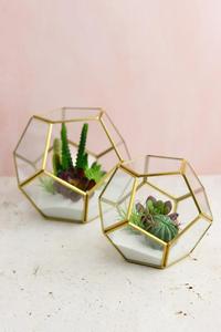 Vase de table terrarium en verre moderne de haute qualité pour la décoration de la maison et les occasions de mariage - Product Image 3