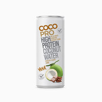 Eiwitrijk 250Ml Ingeblikt Kokoswater Met Sinaasappelsmaak Oem/Odm Service Gratis Monster Gratis Logo Ontwerp Goedkope Prijs