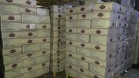 Mada Plus 10Kg Macaroni, Fusilli, Spaghetti, Vermicelli Égyptiens et Italiens de Haute Qualité Certifiés ISO 9001 et Halal