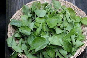 Bahía seca de Vietnam - Product Image 3