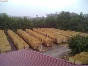 Eucalipto núcleo chapas - Product Image 4