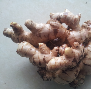 Nouvelle récolte de gingembre frais jeune de qualité export du Vietnam 2020 10KG/CTN - Product Image 6
