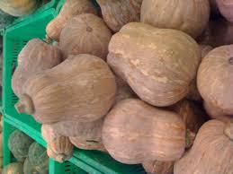 ¡CALIDAD SUPERIOR! OFERTA DE CALABAZA FRESCA VIETNAMITA DE ALTA CALIDAD Y AL MEJOR PRECIO - Product Image 5