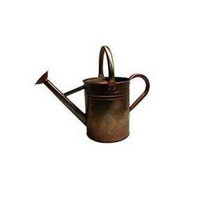 Arrosoir en laiton galvanisé classique fait à la main jardinière en métal marron pour l'extérieur maison jardin utilisation décorative - Product Image 1